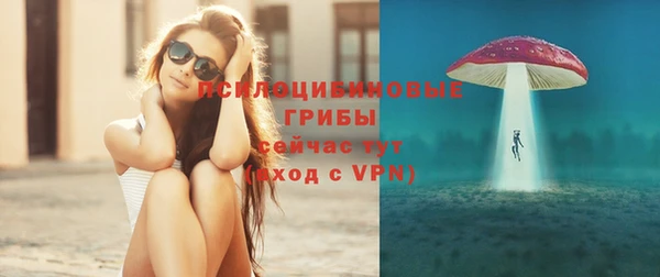 бошки Абаза