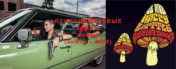 бошки Абаза
